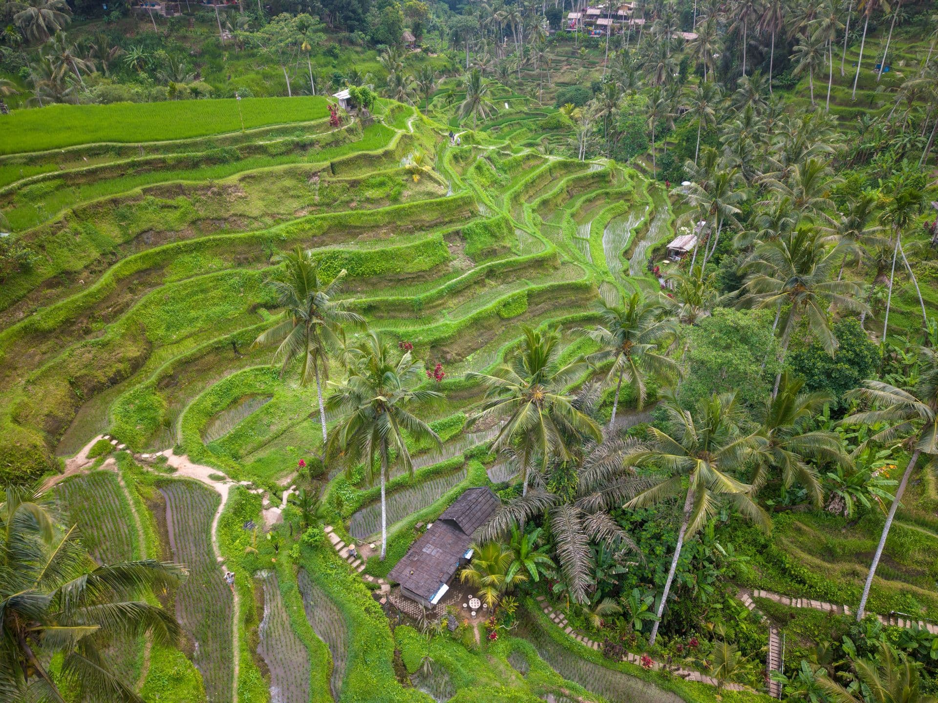 Bali